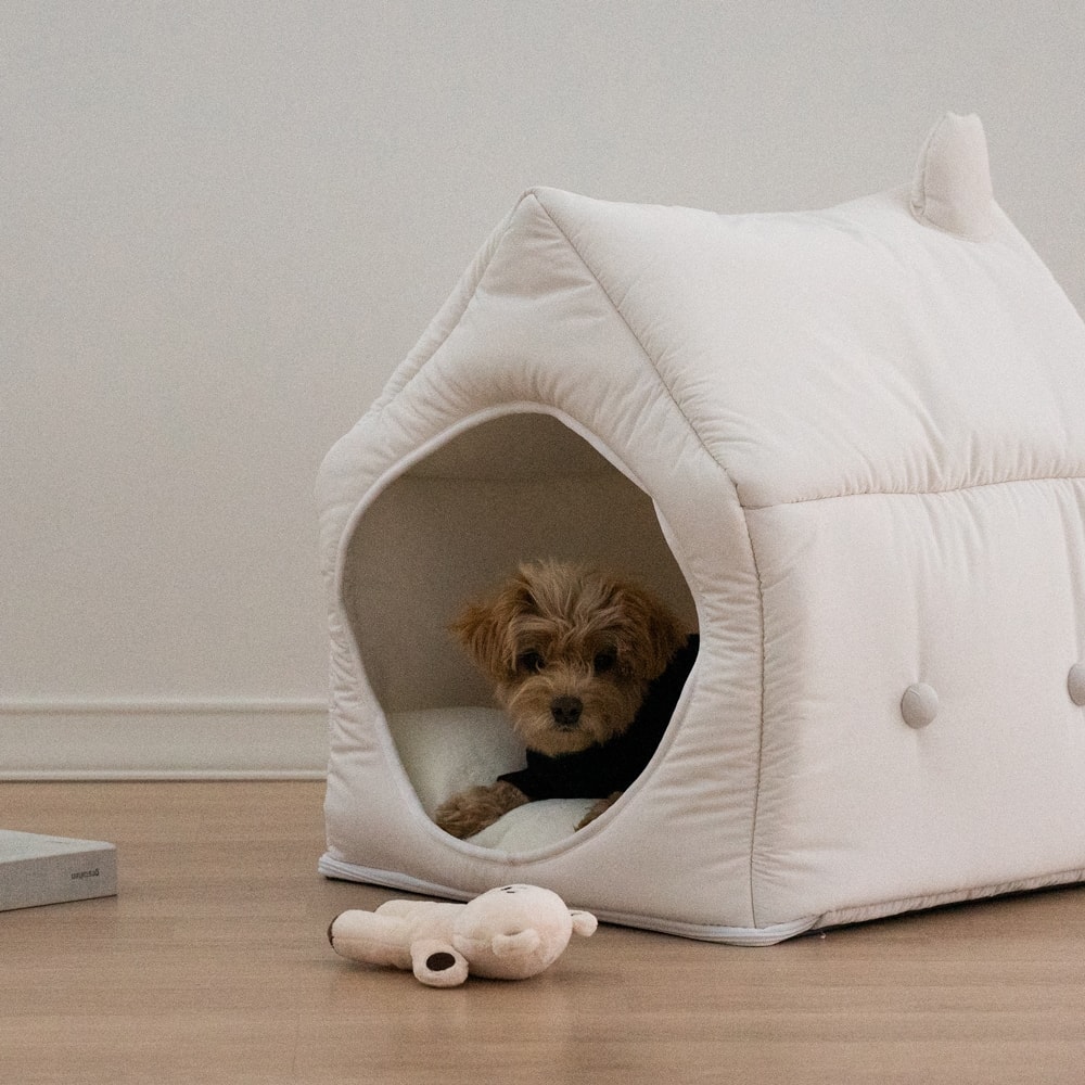 아우스리푸 null - 최저가 228,600원