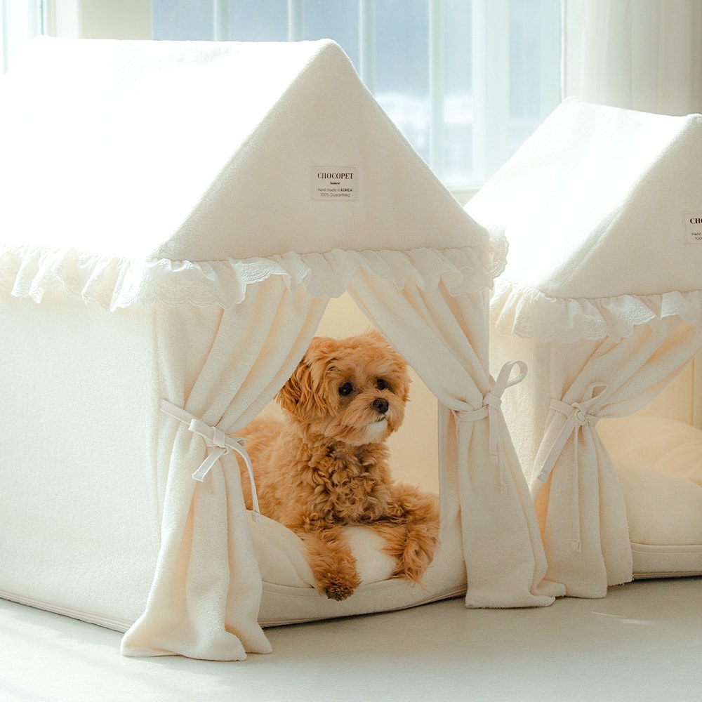 초코펫하우스 null - 최저가 53,820원