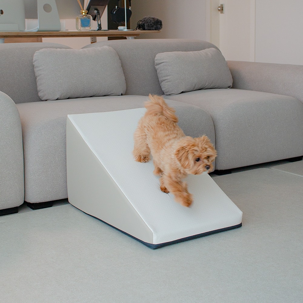 초코펫하우스 null - 최저가 78,120원