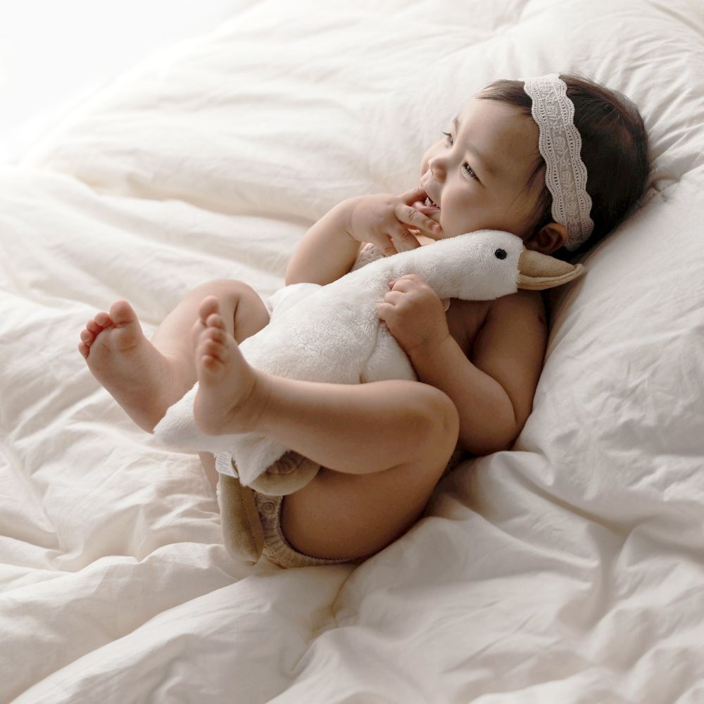 블랑가또 null - 최저가 19,120원