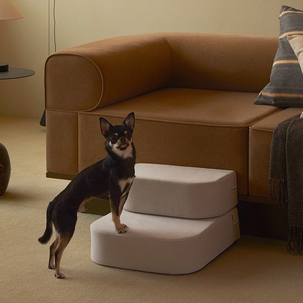 펫토 null - 최저가 46,550원