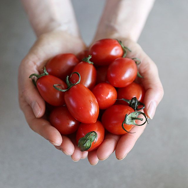 맛꾼 null - 최저가 12,900원