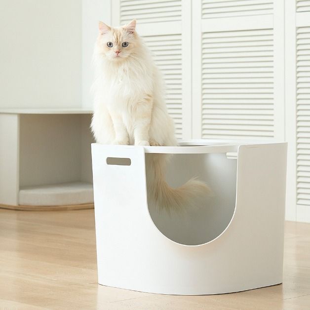 두잇 null - 최저가 35,700원