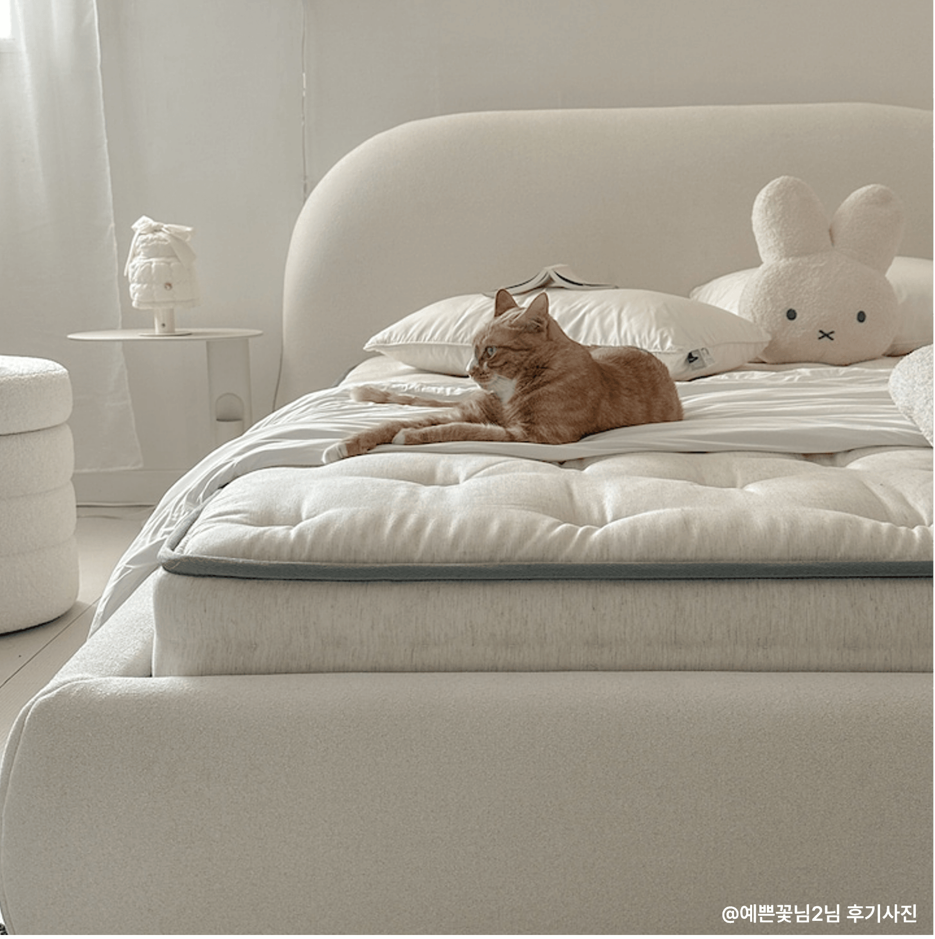 까사미아 마테라소 포레스트 릴리 매트리스 (GSS/Q) - 최저가 455,000원