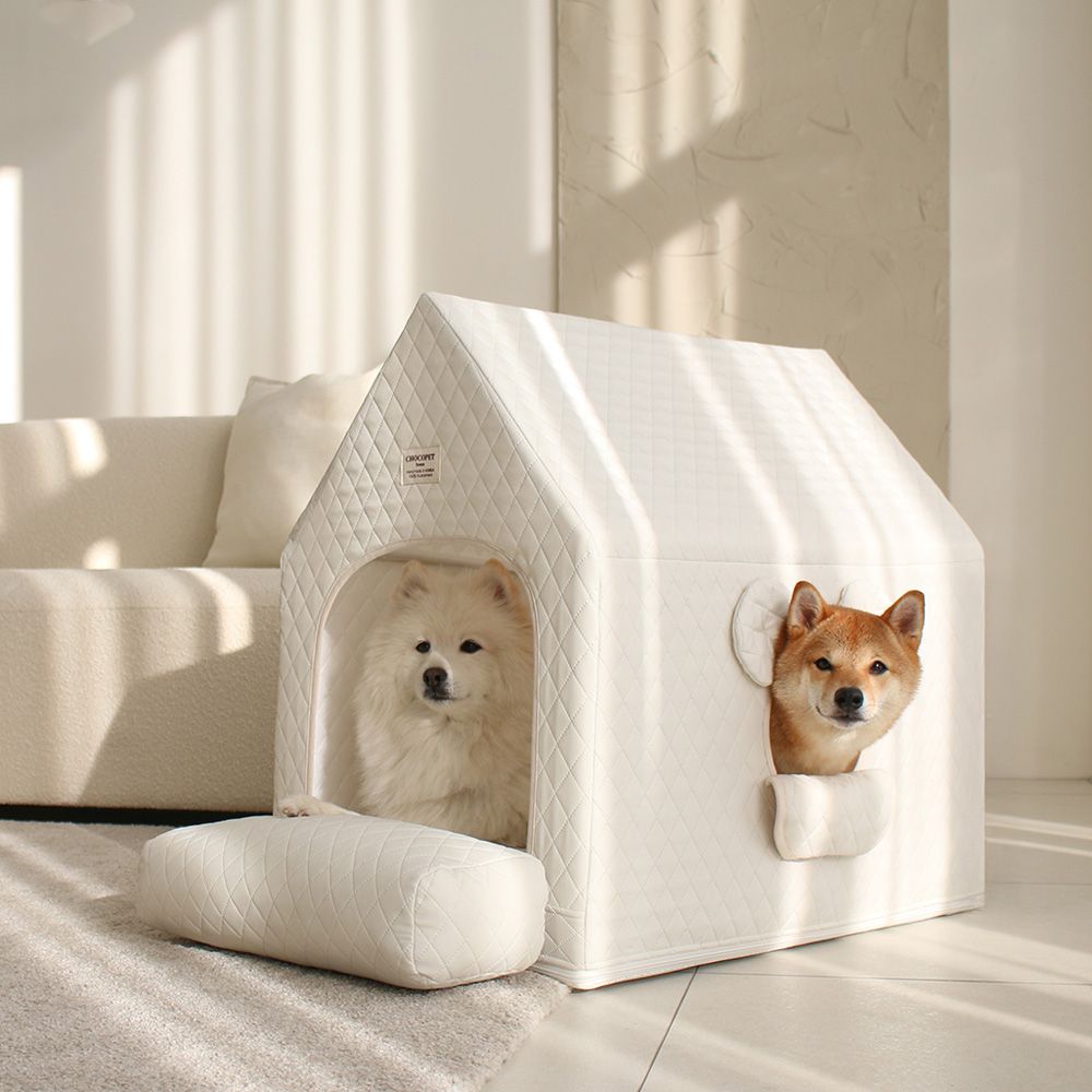 초코펫하우스 null - 최저가 43,920원