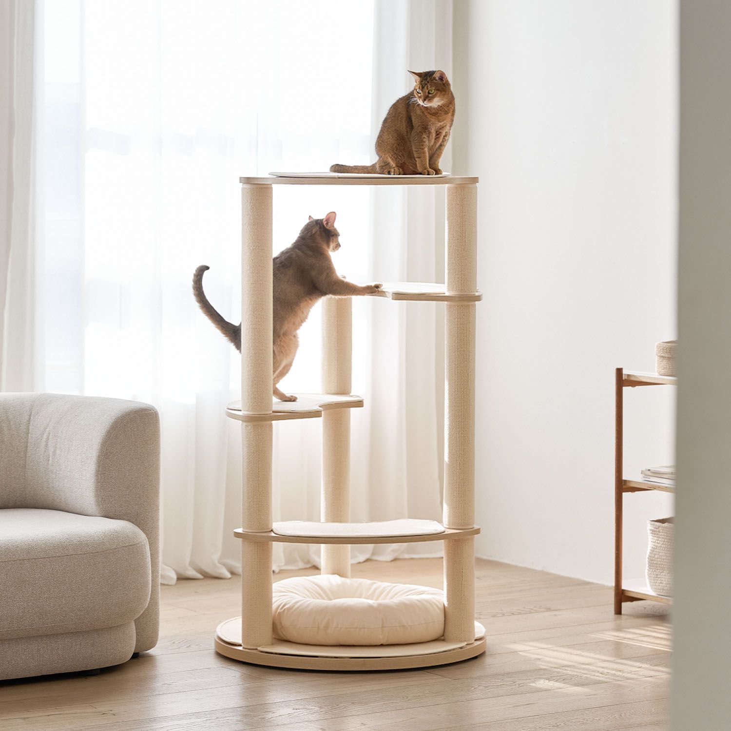 세이펫 null - 최저가 179,100원