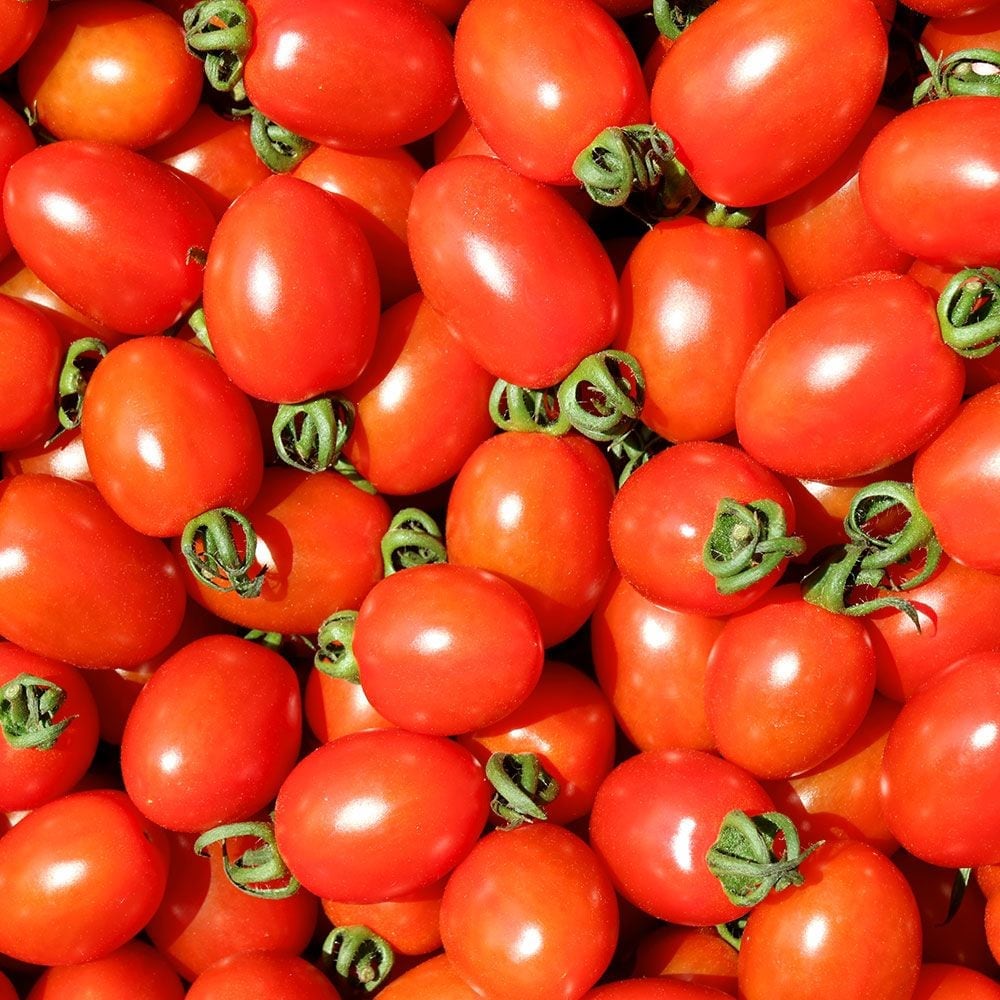 대추방울토마토 null - 최저가 9,270원