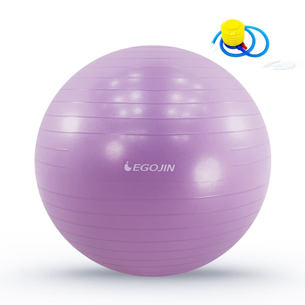 짐볼 65cm 라벤더 요가 필라테스 임산부 안티버스트 가격 비교 이고진 짐볼 65cm 라벤더 요가 필라테스 임산부 안티버스트