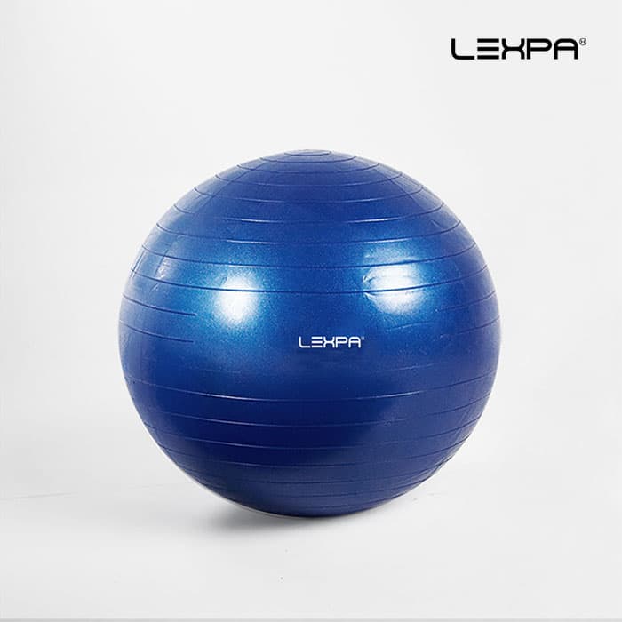 YH-34 블루 75cm 짐볼 피트니스볼 가격 추이 렉스파 YH-34 블루 75cm 짐볼 피트니스볼 - 최저가 11,900원
