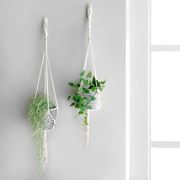 마크라메 플랜트 행거 2size 가격 추이 블루밍앤미 마크라메 플랜트 행거 2size - 최저가 13,200원