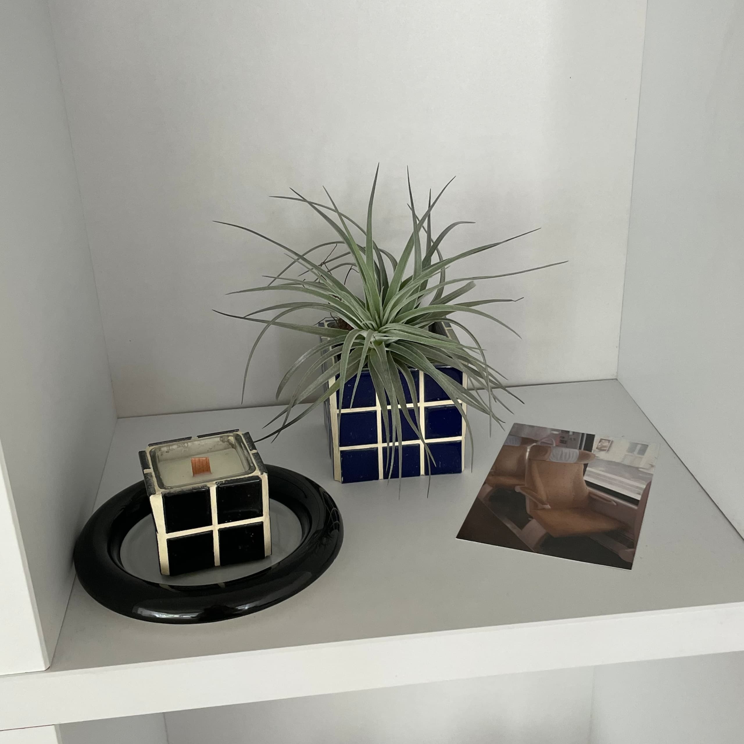 집들이 선물 큐브팟 이오난사 공기정화 인테리어 식물 가격 비교 잔디트리 집들이 선물 큐브팟 이오난사 공기정화 인테리어 식물