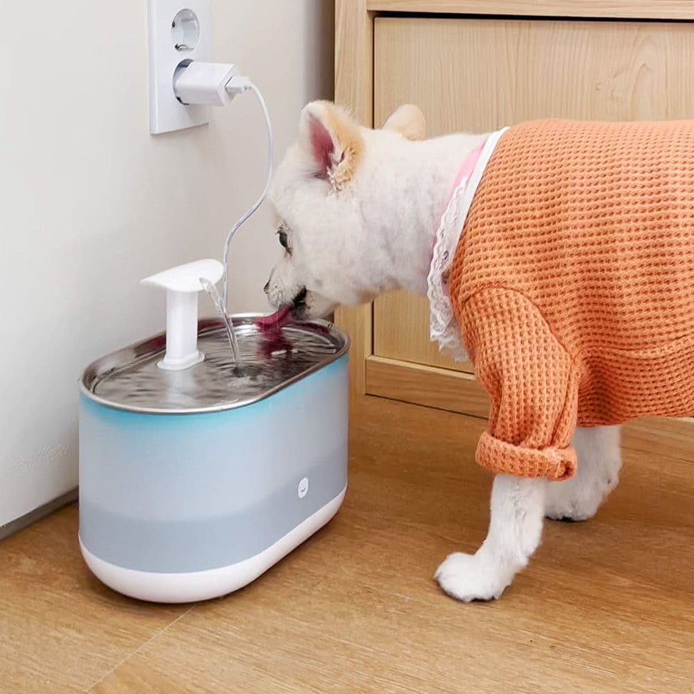 깨끗하게 5중필터 펫 고양이 강아지 정수기 가격 비교 헤이홈 깨끗하게 5중필터 펫 고양이 강아지 정수기