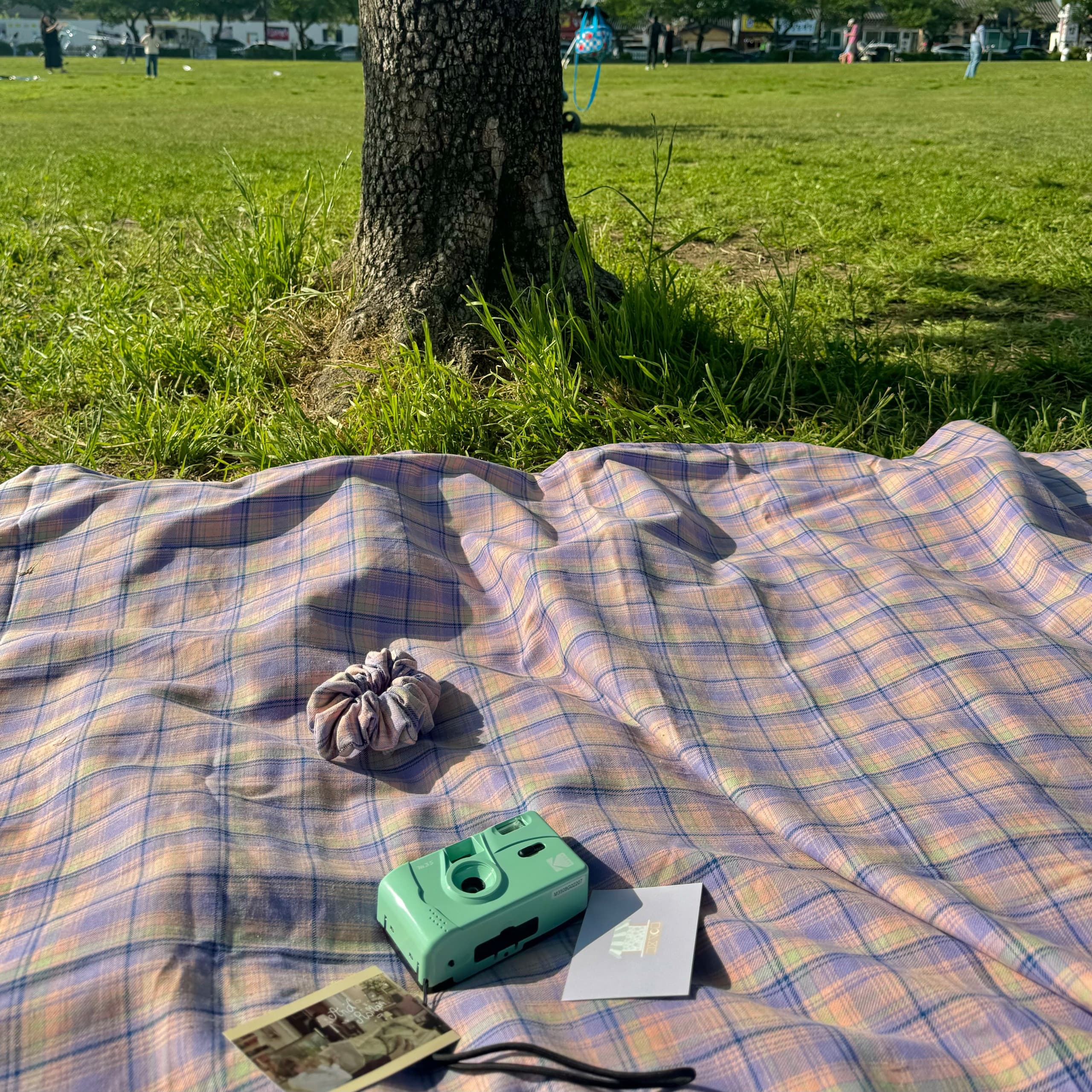 blueberry check picnic mat 감성 방수 대형 돗자리 체크 가격 추이 그리고낭만 blueberry check picnic mat 감성 방수 대형 돗자리 체크 - 최저가 41,800원