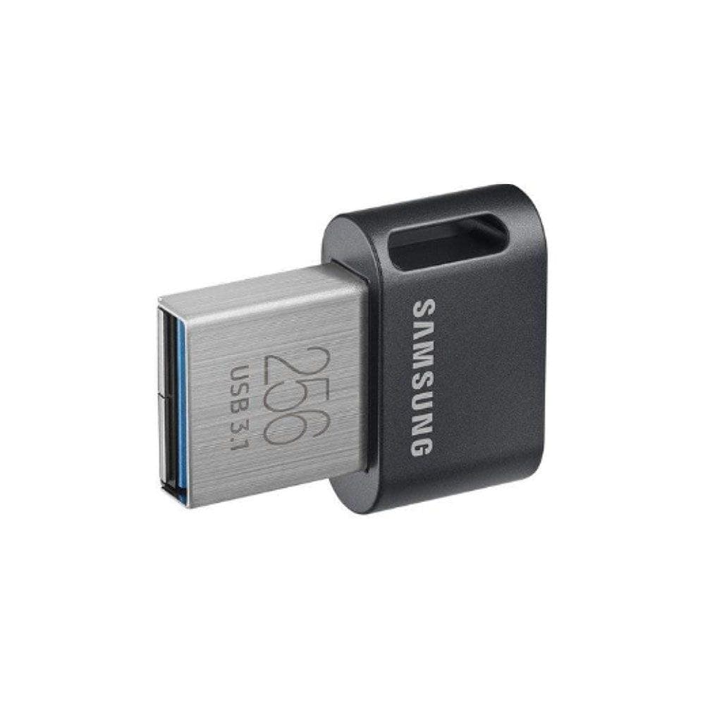 Fit PLUS USB 3.1 Flash Drive 256GB USB메모리 가격 추이 삼성전자 Fit PLUS USB 3.1 Flash Drive 256GB USB메모리 - 최저가 113,100원