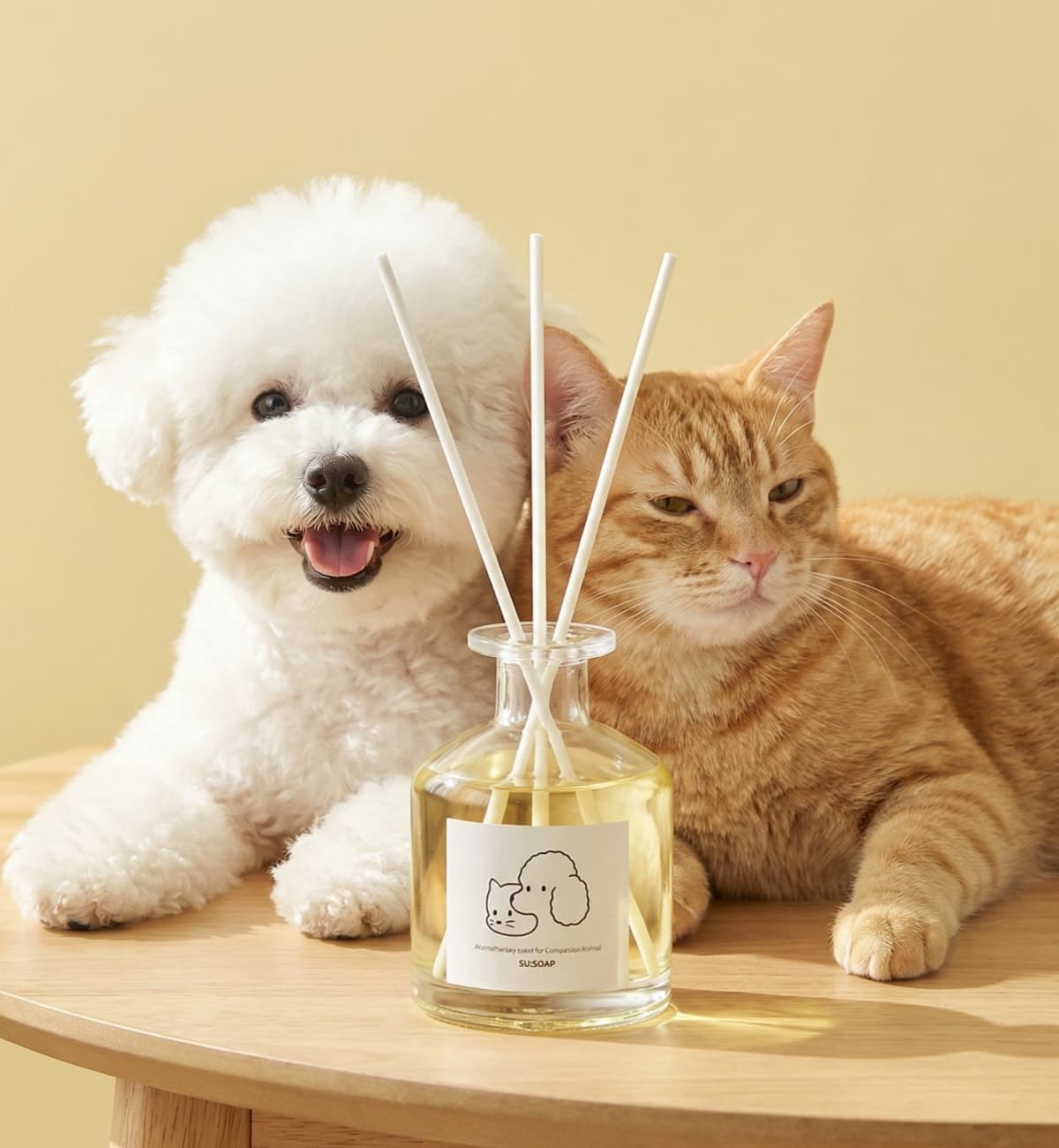 아로마 반려동물 강아지 고양이 대용량 라운드 디퓨저 250ml 가격 추이 수솝 아로마 반려동물 강아지 고양이 대용량 라운드 디퓨저 250ml - 최저가 27,666원