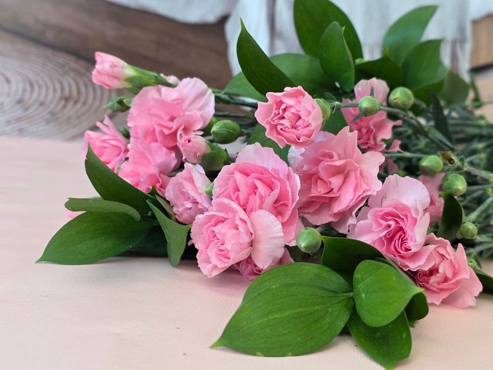 5월 이달의 꽃 생화 정기배송 사진과 같은 꽃 배달 가격 비교 유스풀몰 5월 이달의 꽃 생화 정기배송 사진과 같은 꽃 배달